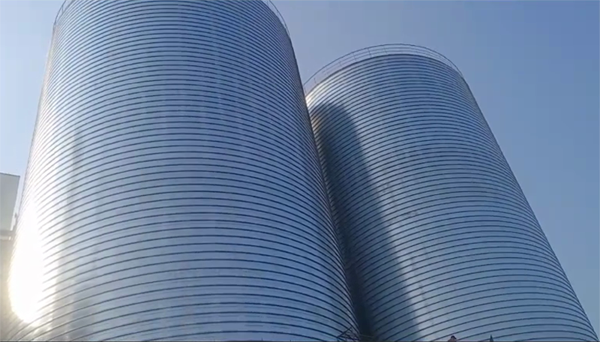 南山2座混凝土高架卷板仓